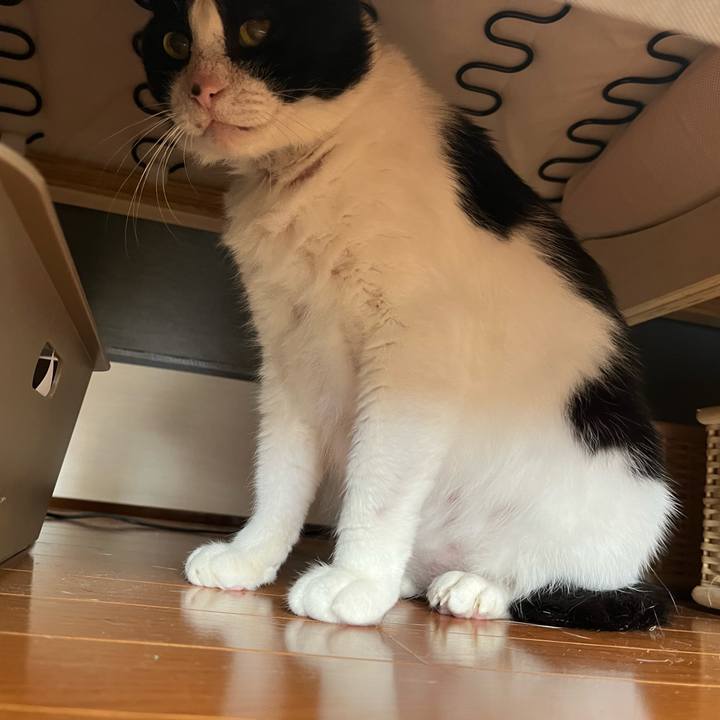 1b39e7c4 2dc7 45c5 abc0 3ce1f196e672 1640908388490