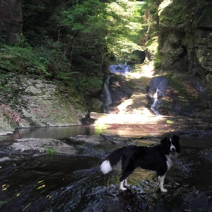 1b39fef7 cc41 4929 8c69 b4db22207db3 1529923863349