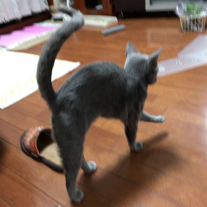 1b3a218f ff70 474a 9e50 44ecc991c492 1509798455909