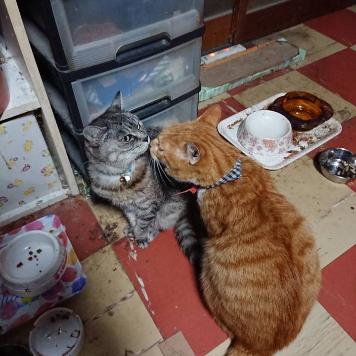 1b3a2498 ec70 413b a6f5 bda016812223 1571255558253