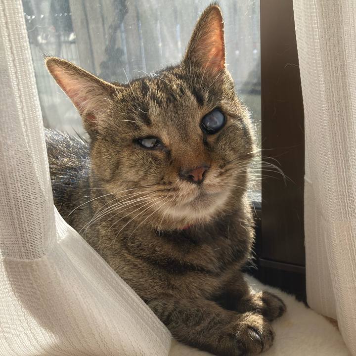 1b3a5eb2 3960 44b8 9d6d a8b539c0d7b8 1642125851375