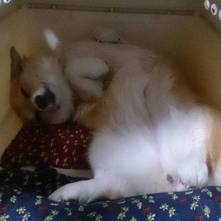 1b3a7353 7498 40e0 9187 331f31f3b372 1515456536610