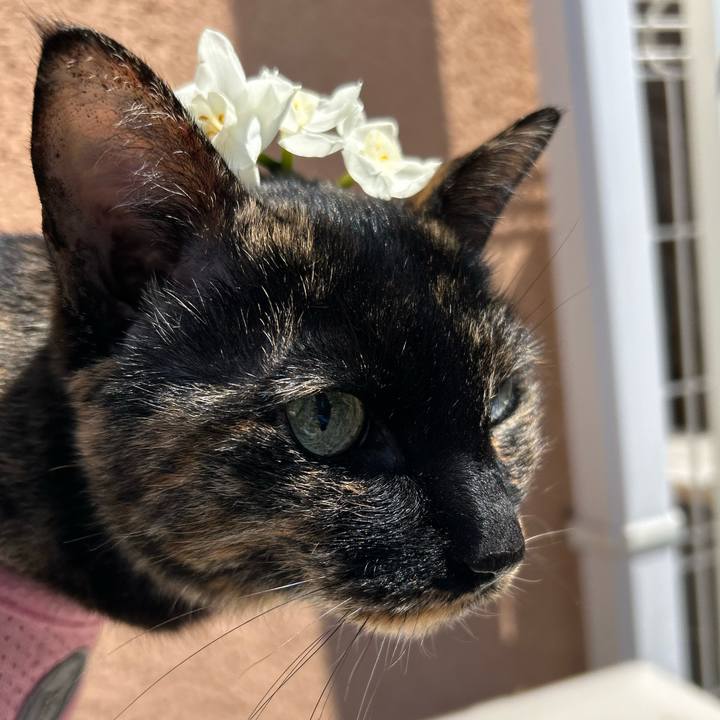 1b3aa5c0 13bc 4246 9c66 306e527a32f5 1774060878596