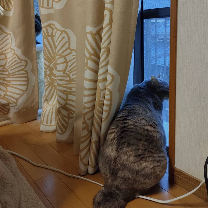 1b3aad19 1855 4562 b312 5698e52def97 1730014215831