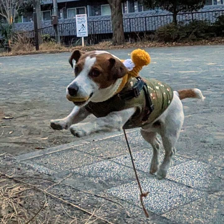 1b3ac70a a66b 49bc b3c2 ed6f158737c7 1738364285027