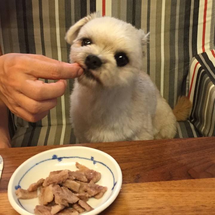 1b3ada03 0370 437e 9015 c380e973cf3f 1537185703541