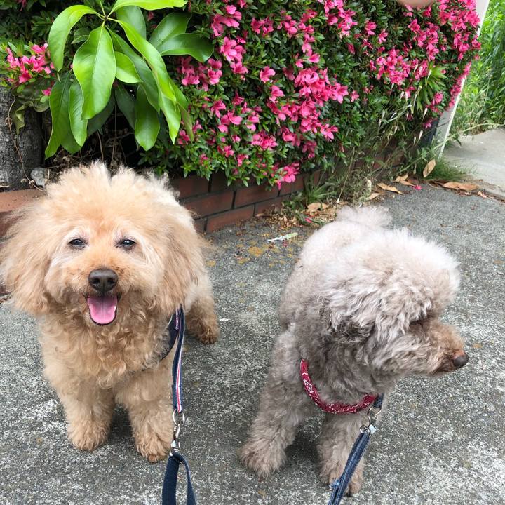 1b3af380 024c 4f93 a08f 231758dd03a5 1559003774750