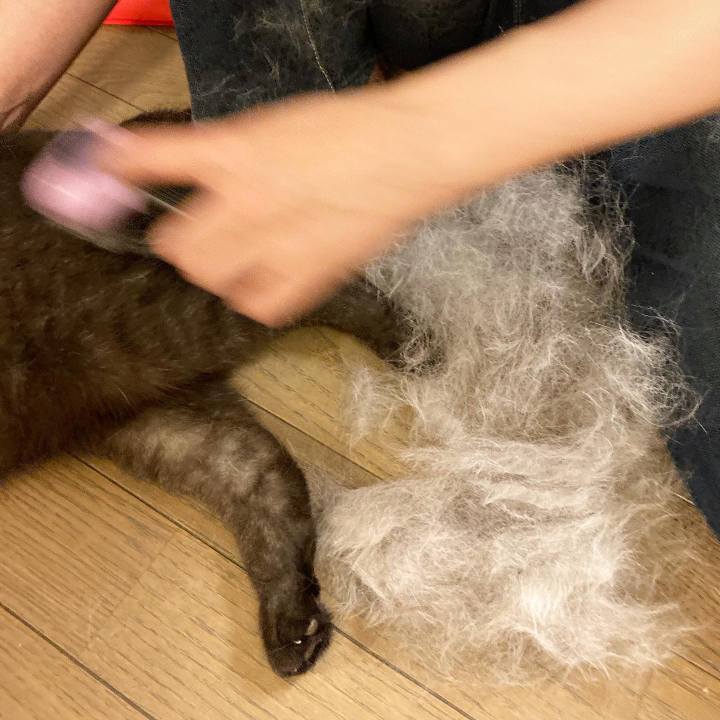 1b3afcdc df76 4e6c bb6b 6c75dc0bb90f 1594399645281