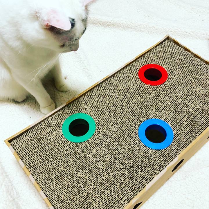 1b3b0f74 d103 4094 bb78 a6fe885b2046 1514202338320