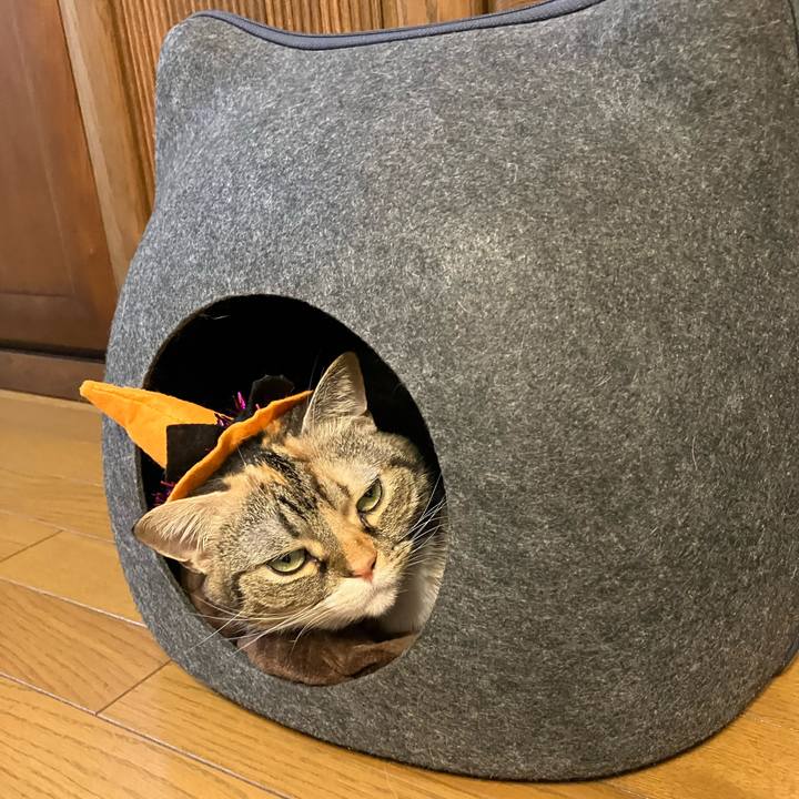 1b3b18a2 ef41 43eb ad2d d85c01886116 1761571688481