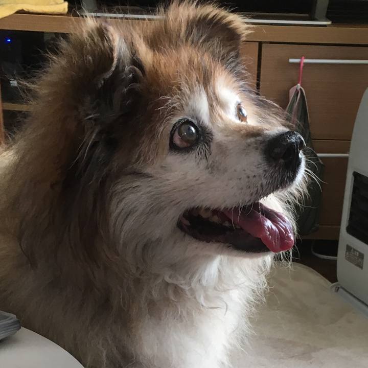 1b3b24fe 4801 4e3e 809c da360d630ac4 1554964117776