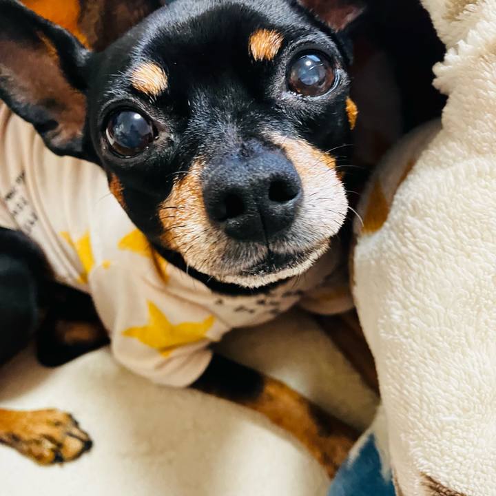 1b3b76c2 0b43 42f4 b3f7 c468049bdd83 1741699879013