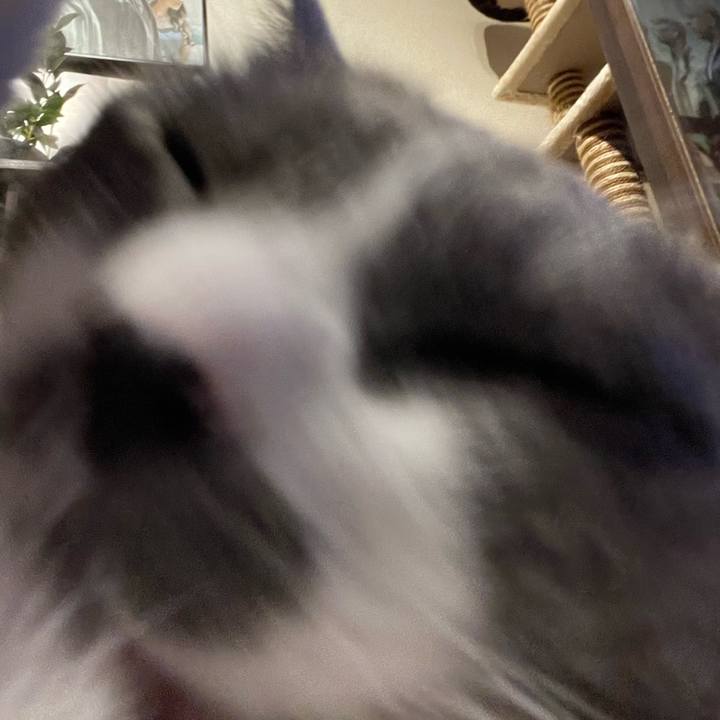 1b3bc565 ba1b 4623 a9cb 85ff0cdbfdc5 1725287863293