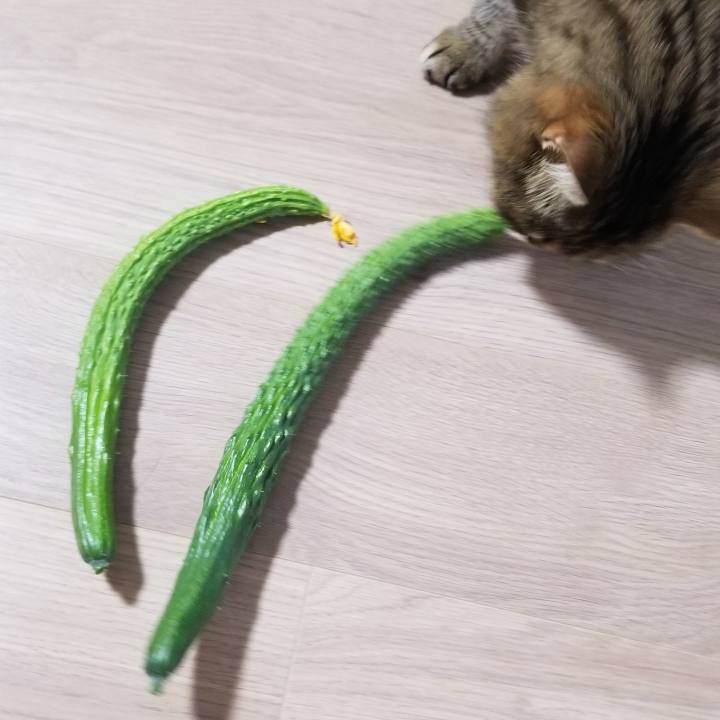 1b3bd605 113c 4609 af09 b07a64d880fd 1596058865219