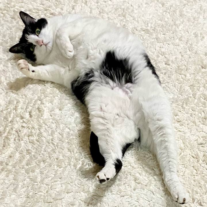 1b3bfdc3 8688 47e3 a1ec 83302c70e8f2 1655166262925