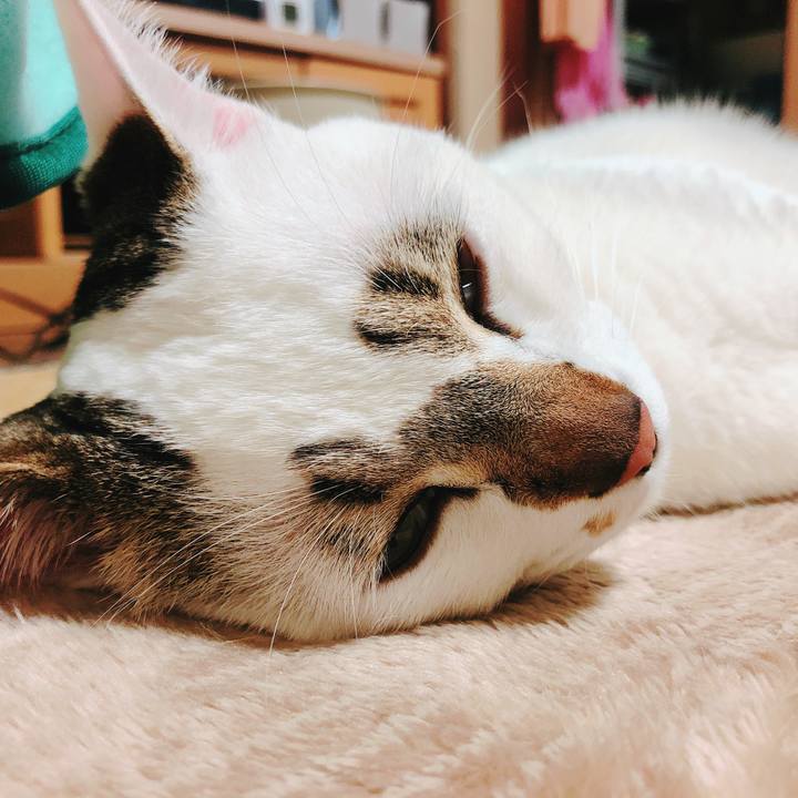 1b3c0ae5 7bd2 476f b8ca c8aecd7d2325 1520942282978