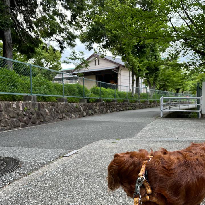 1b3c1a82 3738 4a1b 8bc0 47503ea9f2df 1685232315551