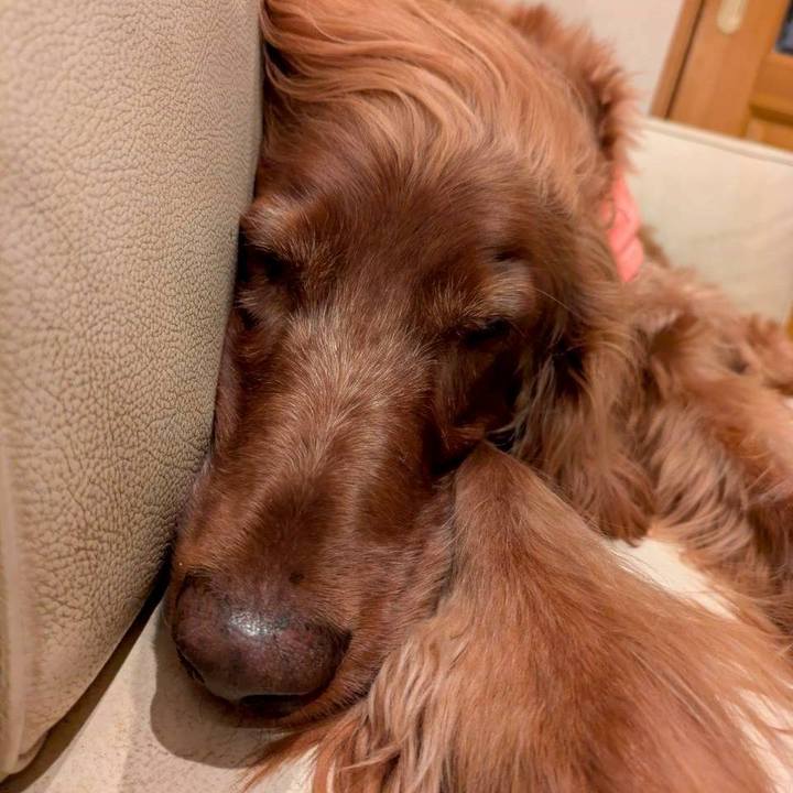 1b3c40c3 1ec3 4cd4 872f 665fccf16856 1764753224594