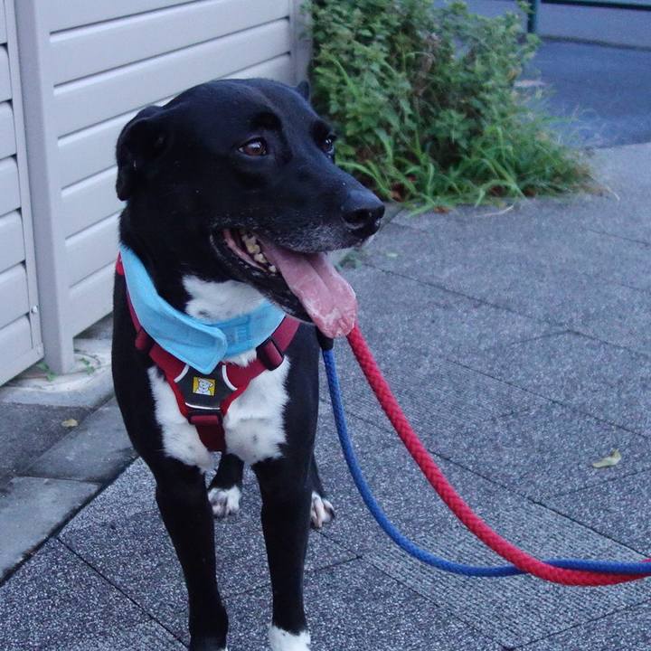 1b3c4bfa fe62 4b45 80e8 d32bd913167c 1627902551240