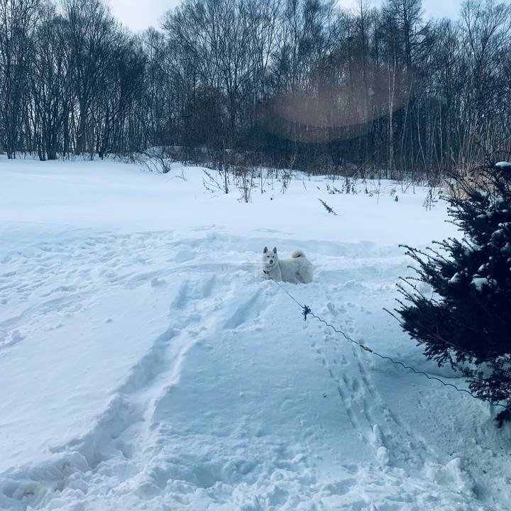 1b3c55f4 dcf2 45f2 9731 57cf6be7e084 1581993941060