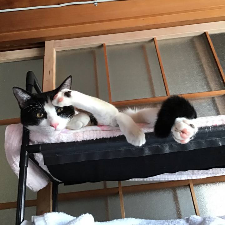 1b3c6cce bd12 456c bf9c f13fb6b307fb 1633405769508