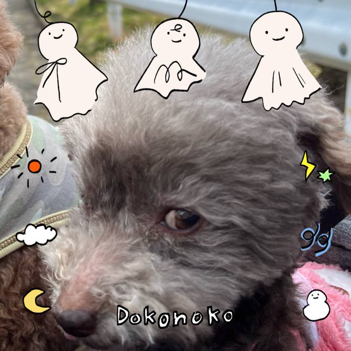 1b3c9e6a c18f 41f9 b1bf 88f688a9ebd5 1749161931833