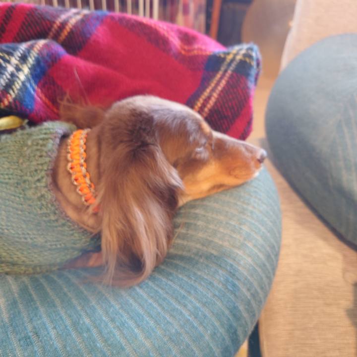 1b3cc2f5 dc52 4903 bb7f 8030720975ad 1672022247056