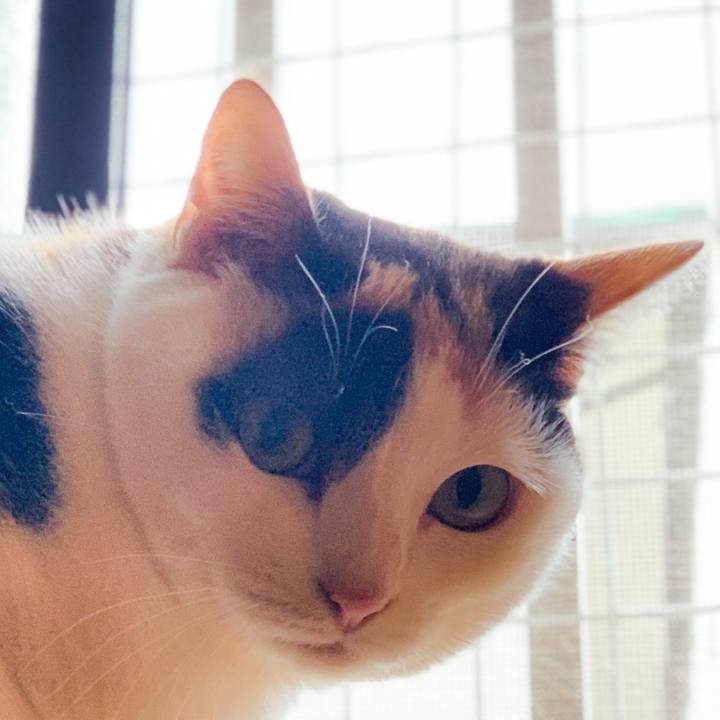 1b3cc3df 25c2 4cc1 903d 0fc4acdc3a21 1592273048409