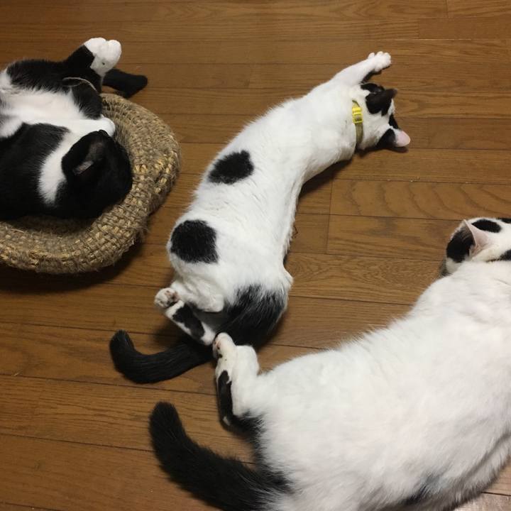 1b3cca4c cc1f 48e8 9071 3fbc078393ab 1551912199488