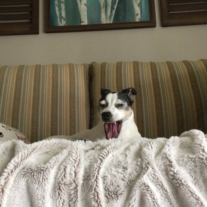 1b3cebc3 742f 495c b452 abf03882277a 1563536857445