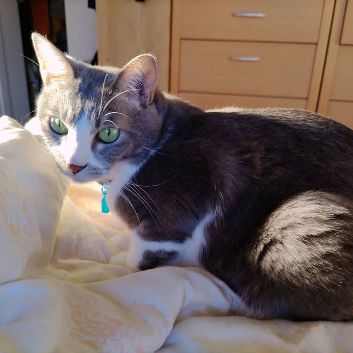 1b3d06ab b0cd 4566 a21c 166daab690c4 1696286400320