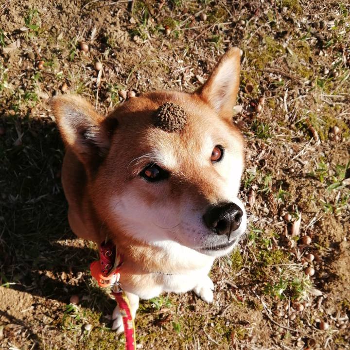 1b3d2847 0a6c 4dcb 94ec b027937e812f 1583478933619