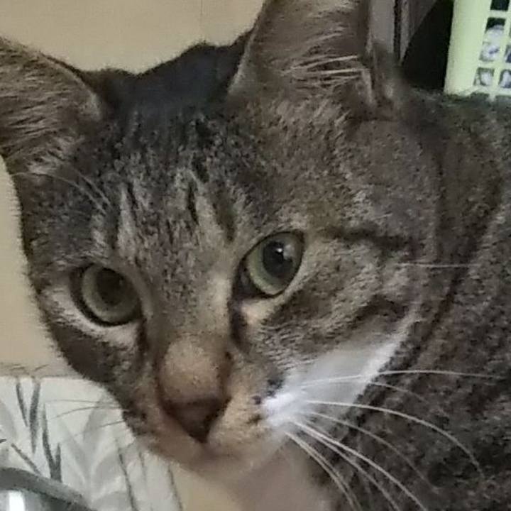 1b3d3ee3 19c0 428b b84b 4a0556d84df5 1605922939855