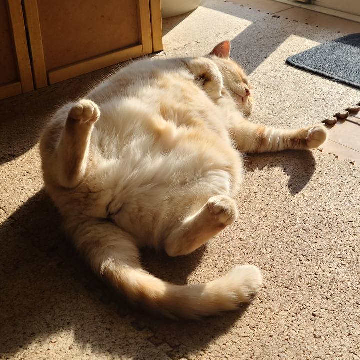 1b3d401d 570f 4194 9e7c 036d9d351c8b 1640594469205