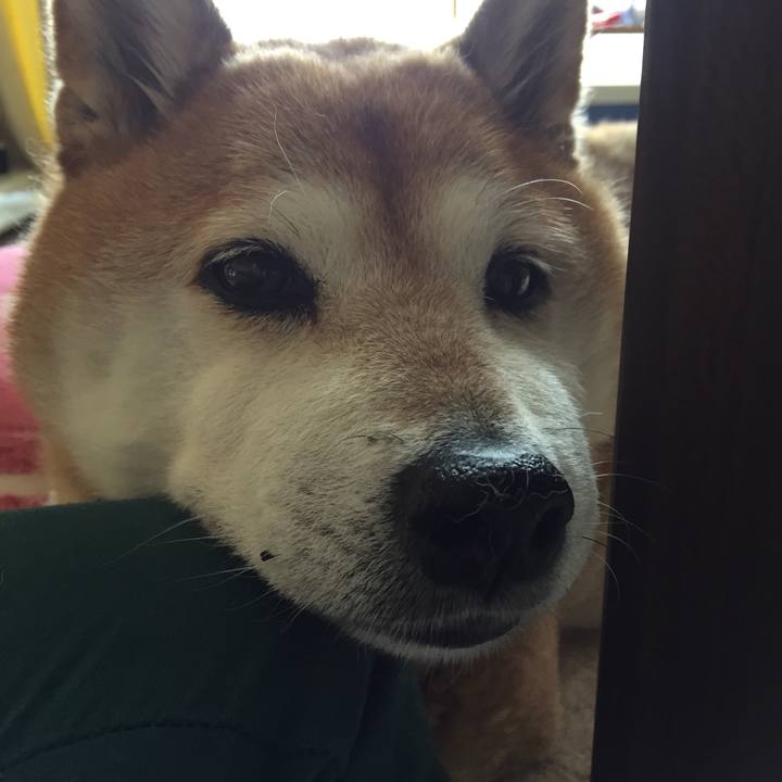 1b3d71bc 9ff3 472b bbf2 4b0dd0f8955c 1527858332054