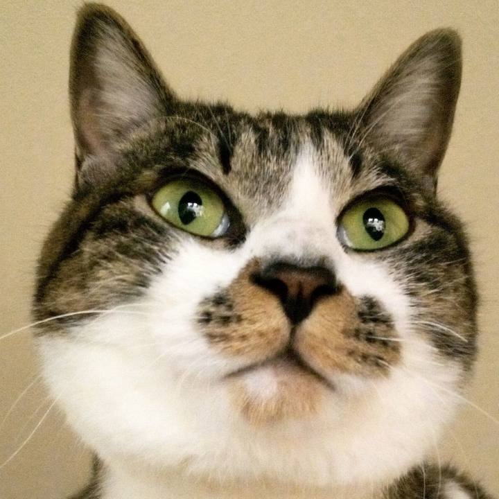 1b3d7493 c6fb 401c a85f cc3e767060fb 1758256005477