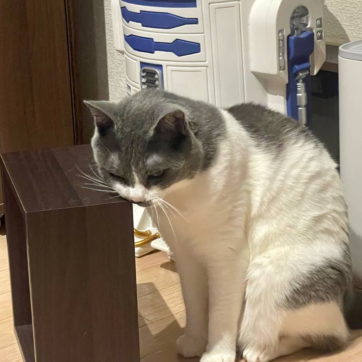 1b3dbb91 e2ba 4fe9 a826 9686da8ee520 1653828320071