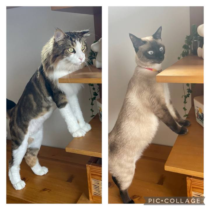 1b3df3ec 5ab2 416b 858c fc26776d95a9 1721552075610