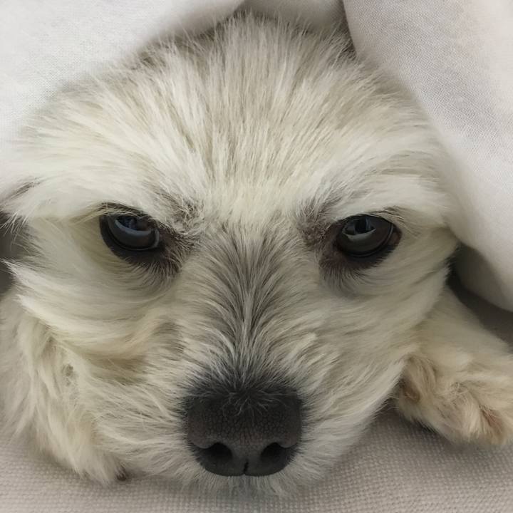 1b3e03b3 2cf0 4508 9539 b4d3bb76d364 1556229879466