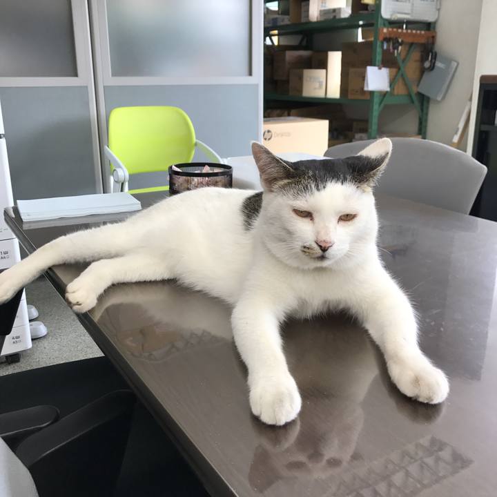 1b3e059e 7d27 4bcd b04e aac52fbfe787 1562116154938