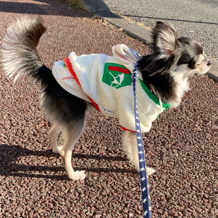 1b3e06dc 58b7 4cc9 8b45 fde1cae68a04 1641616480998