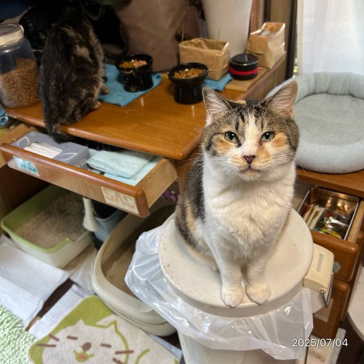 1b3e073c 6248 4d67 b28a 414d8fa8c866 1751580232529