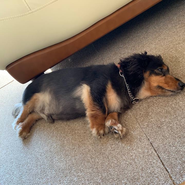 1b3e48ac 4686 4998 82ad 2d9b6bbb74cc 1564610484583