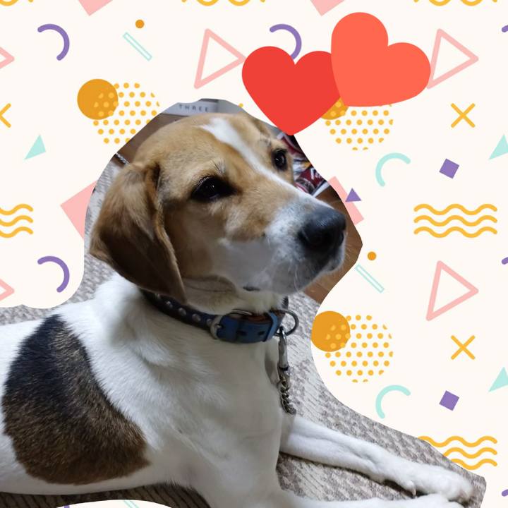 1b3e8a5a 8ca5 44f0 abf9 77cd9c4b468a 1610096284663