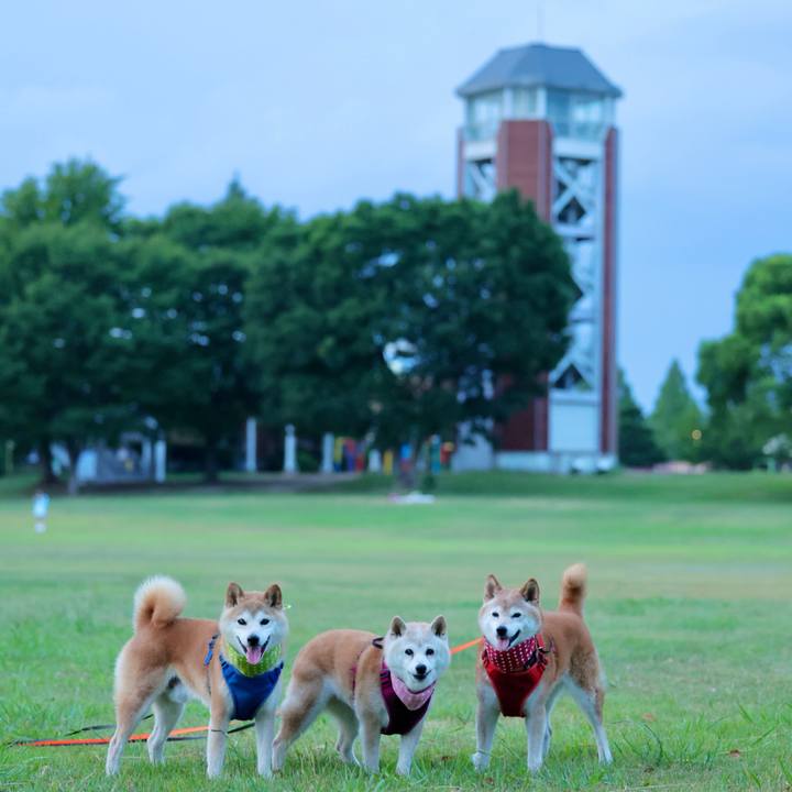 1b3e9764 b3da 4774 b8a4 0dcecd5f3b7e 1755790163887