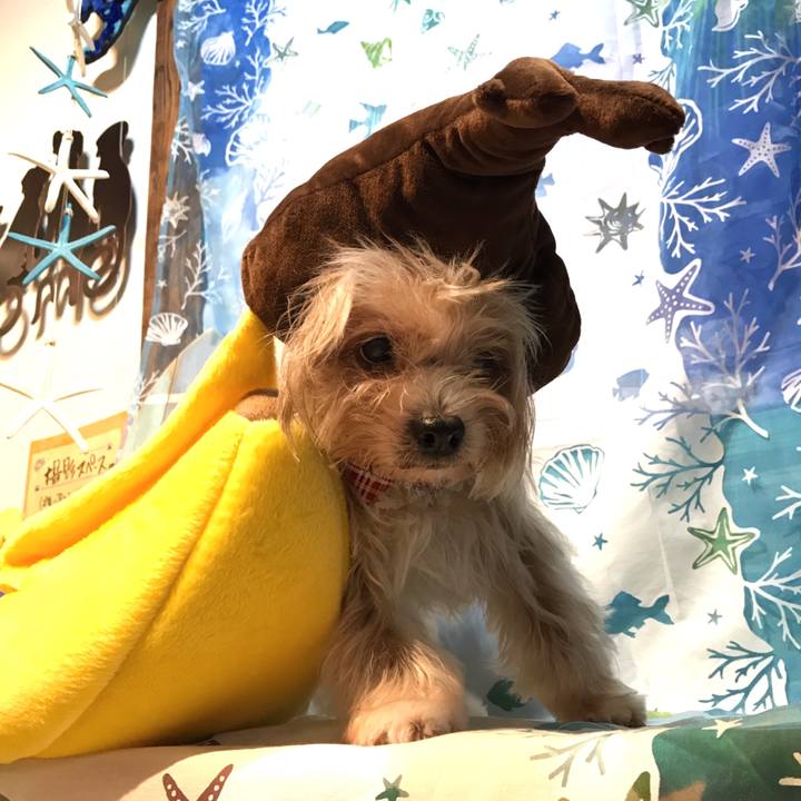 1b3e998a 9c68 4392 b248 9aa86be96d50 1536688727539