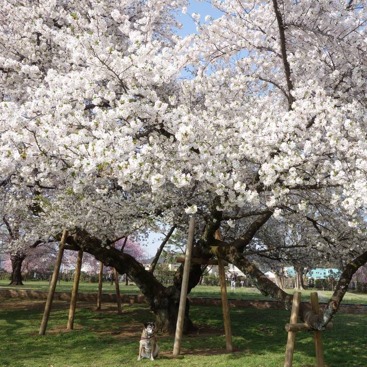 1b3ea491 a19b 4b96 a6fe 72013e6e1644 1712193224143