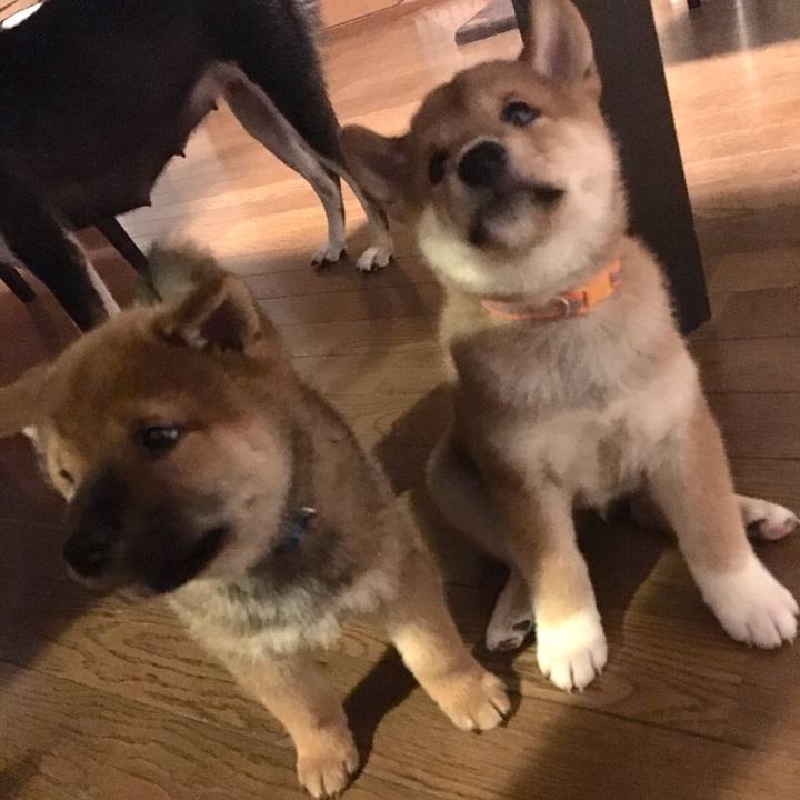 1b3ec2cf 0b9d 486e ae3b 49655aea6901 1518994558812