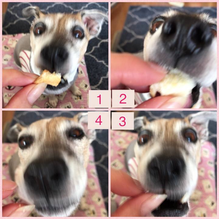 1b3ee4f0 b557 49bd a208 fab8ab774f02 1521289674813