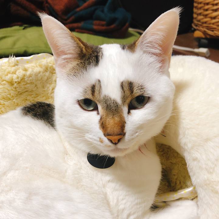 1b3ee72d 26a6 4f4b b407 6af6debe6671 1582298099541